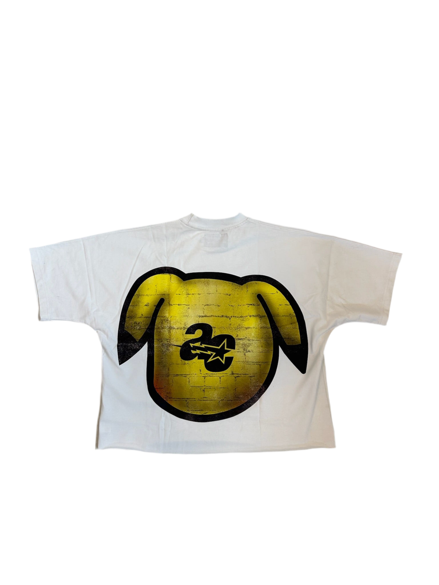 Cropped Oversized Pikachu Tees